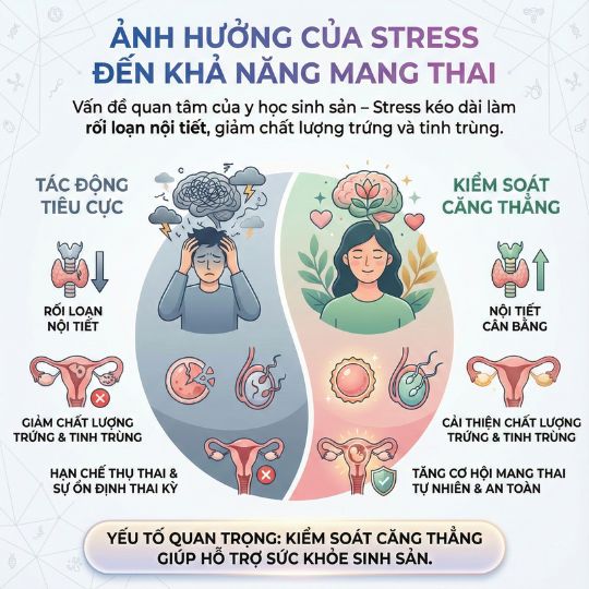 ảnh hưởng của stress đến khả năng mang thai